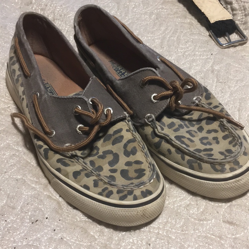 Cheetah Sperrys